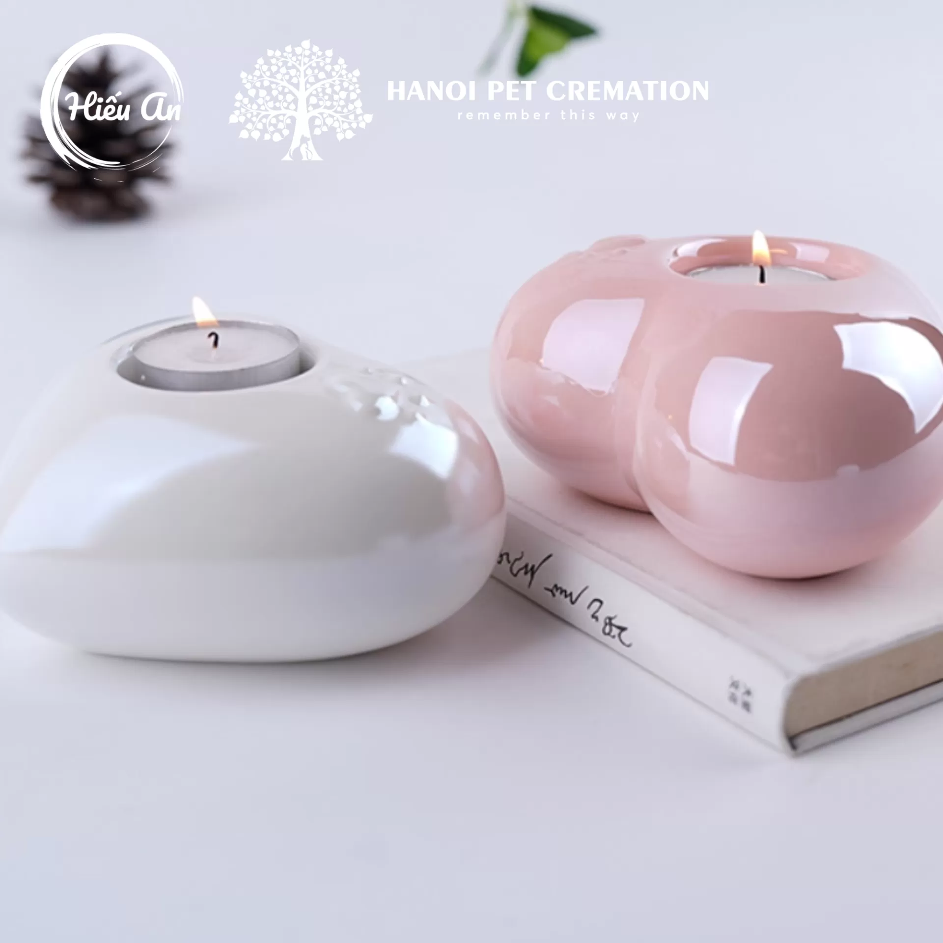 Hũ đựng tro cốt thú cưng HA-366