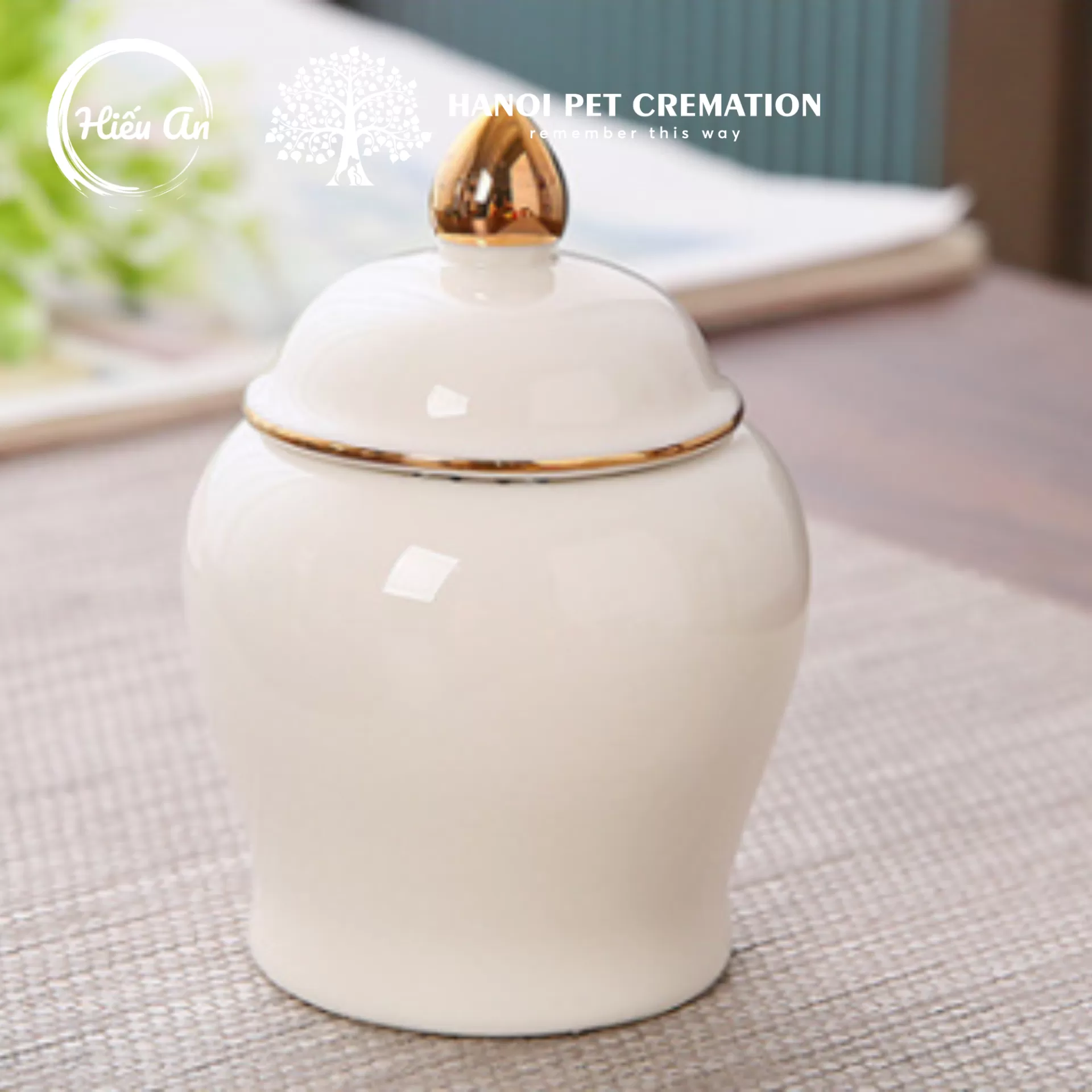 Hũ đựng tro cốt thú cưng HA-372