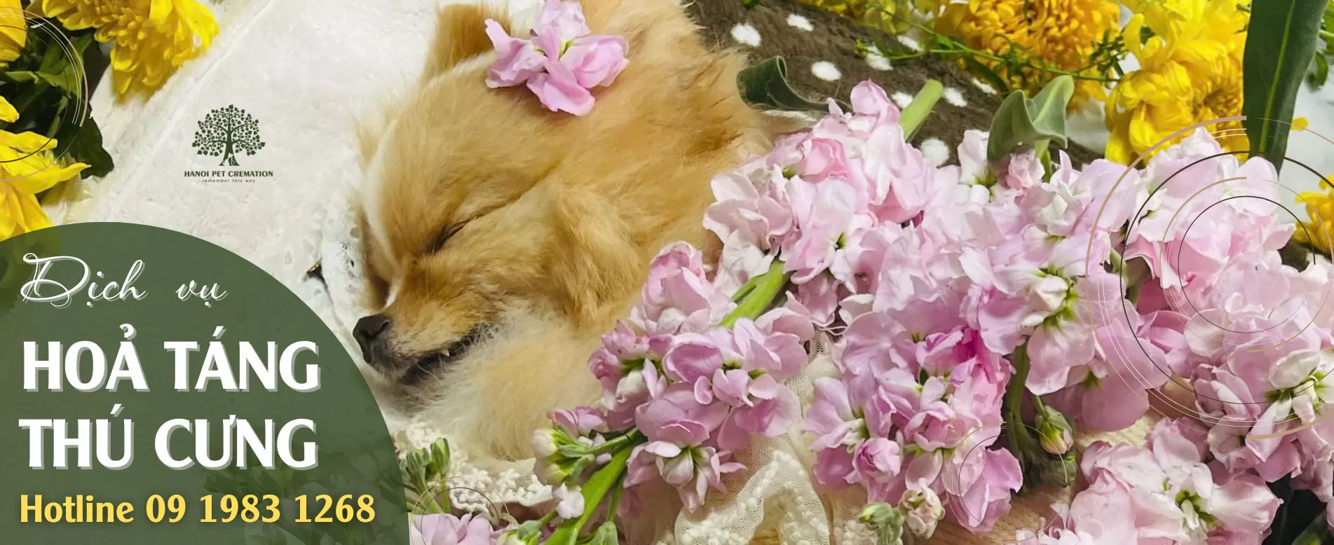 DV Hoả táng thú cưng