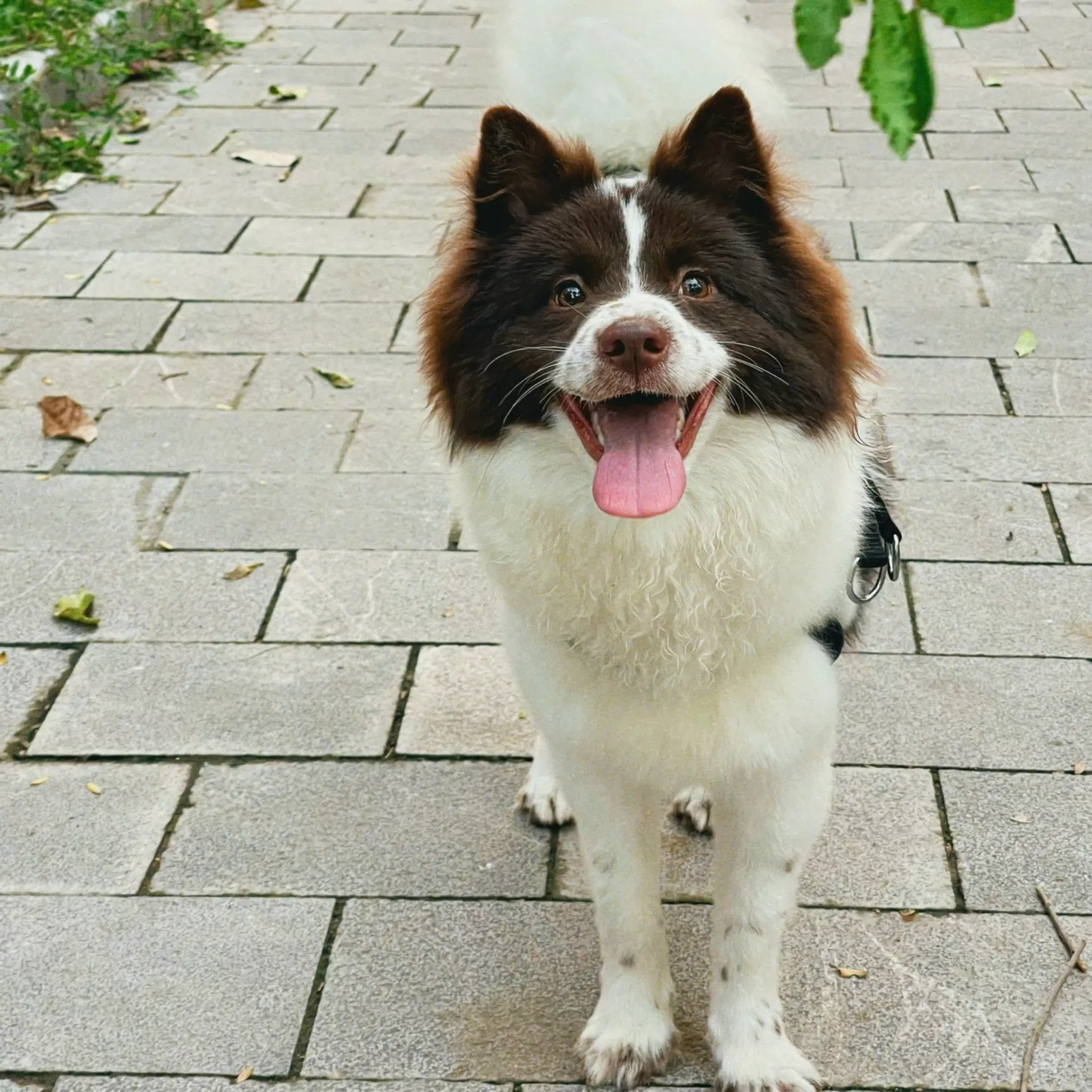 Gấu yêu của mẹ!