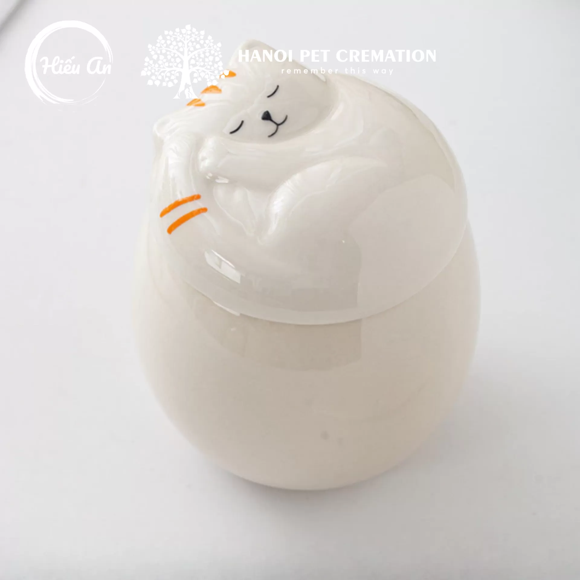 Hũ đựng tro cốt thú cưng HA-362 (trắng bóng 550ml)