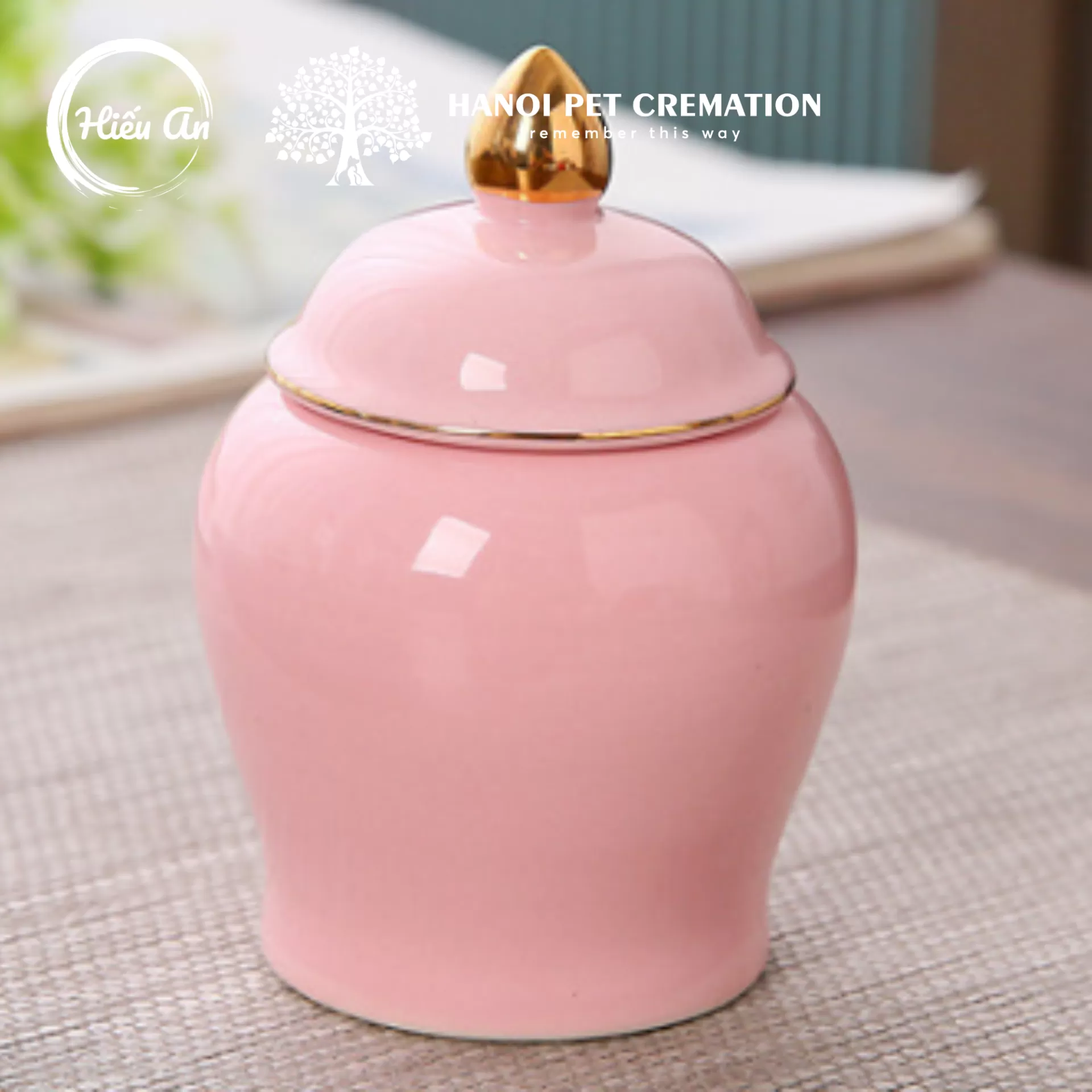 Hũ đựng tro cốt thú cưng HA-371