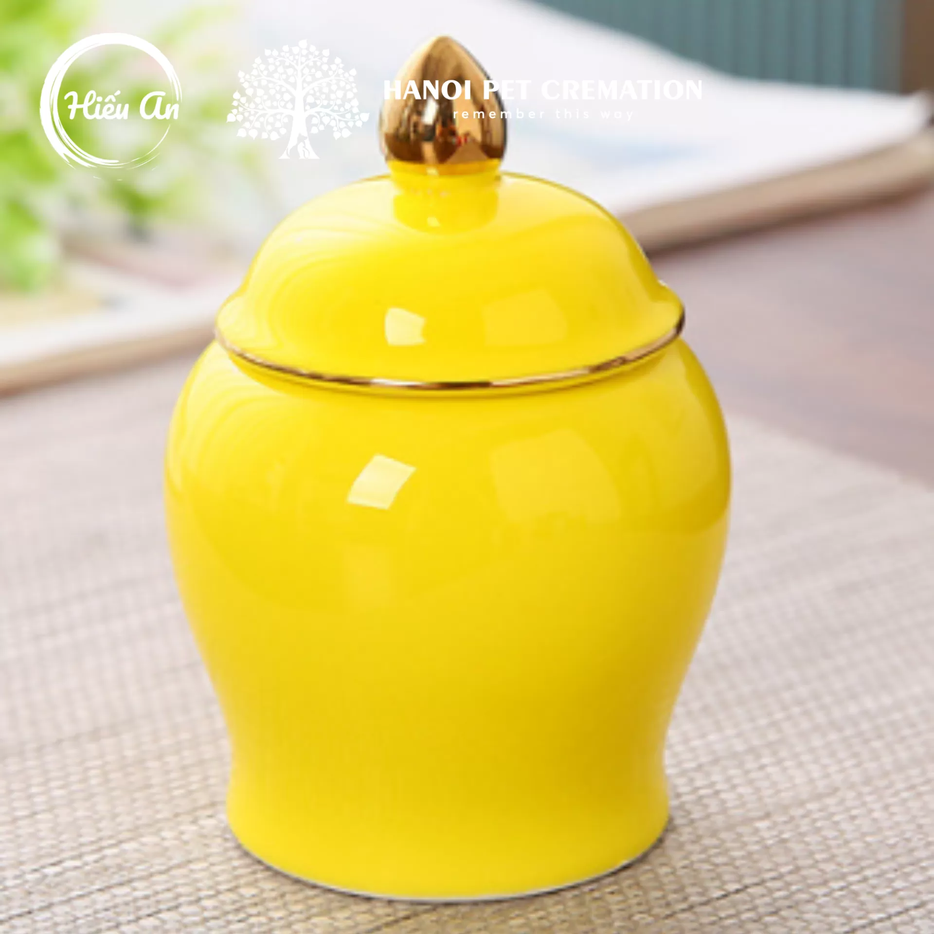 Hũ đựng tro cốt thú cưng HA-373